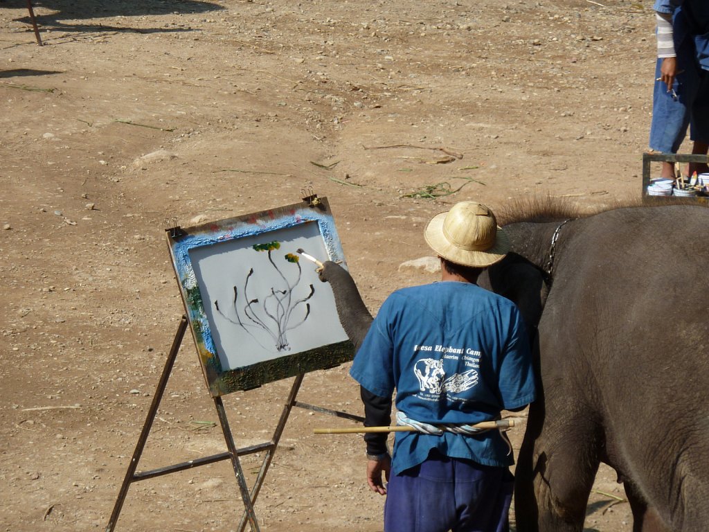 Painting elephant in Mae-Sa Elephant Camp
