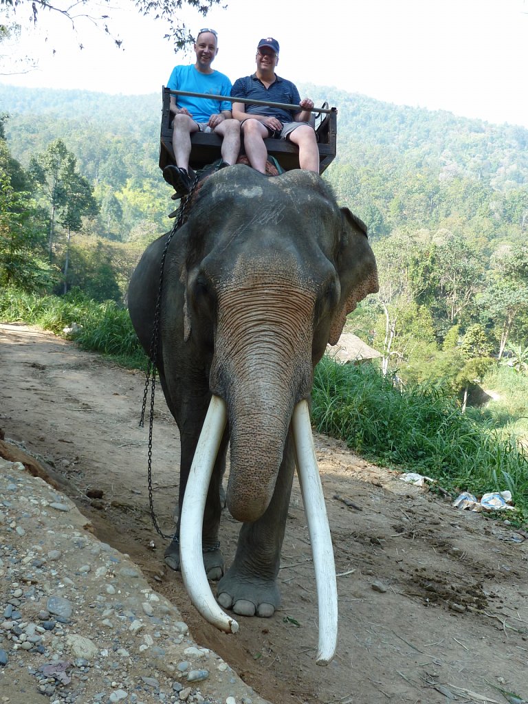 Elephant ride in Mae-Sa Elephant Camp