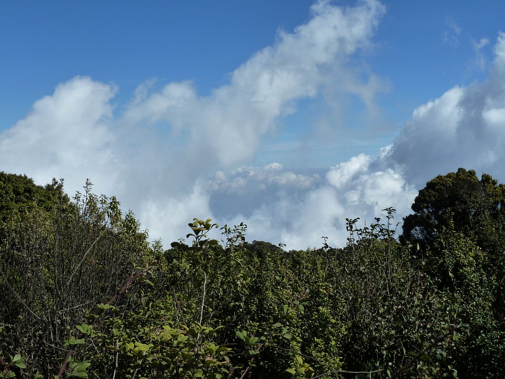Clouds in Doi Inthanon National Park
