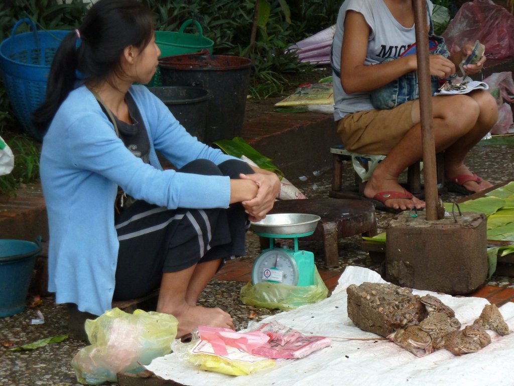 Market in Luang Prabang