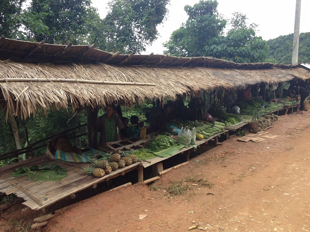 Market on the way to the Plain of Jars