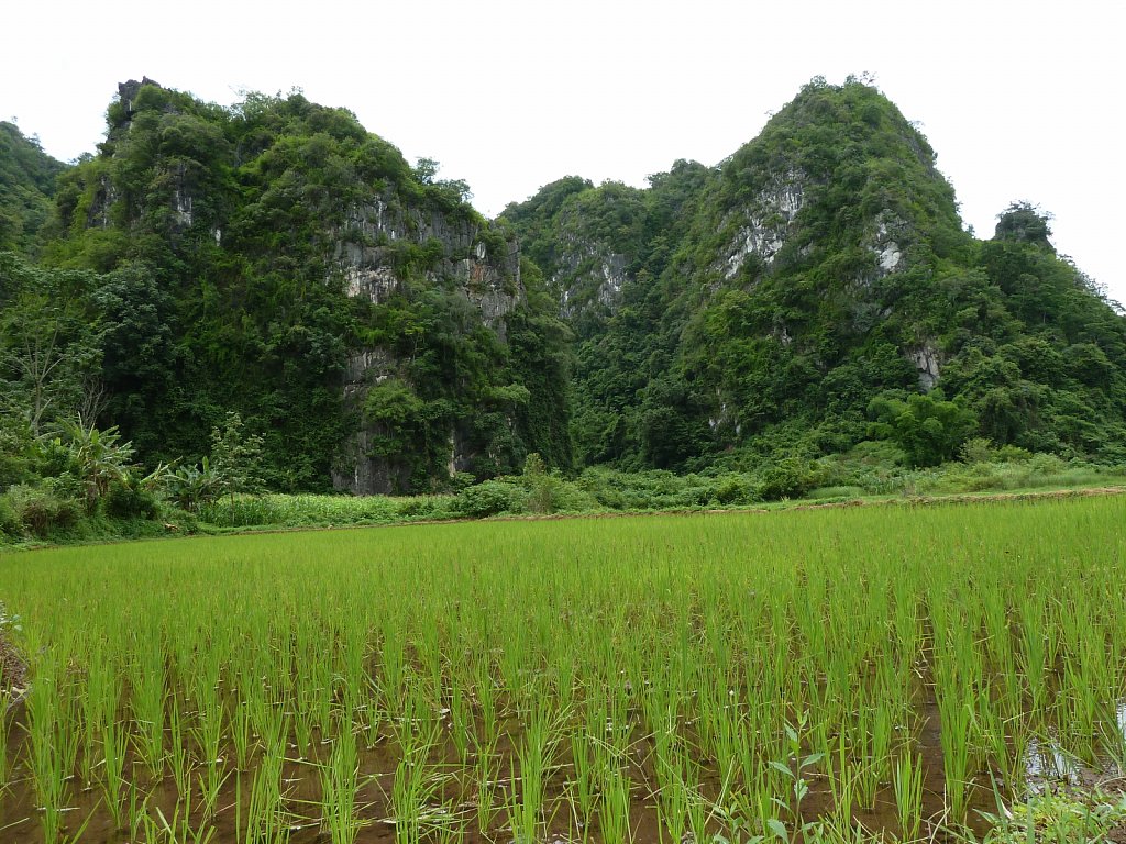 Landscape of Vieng Xai