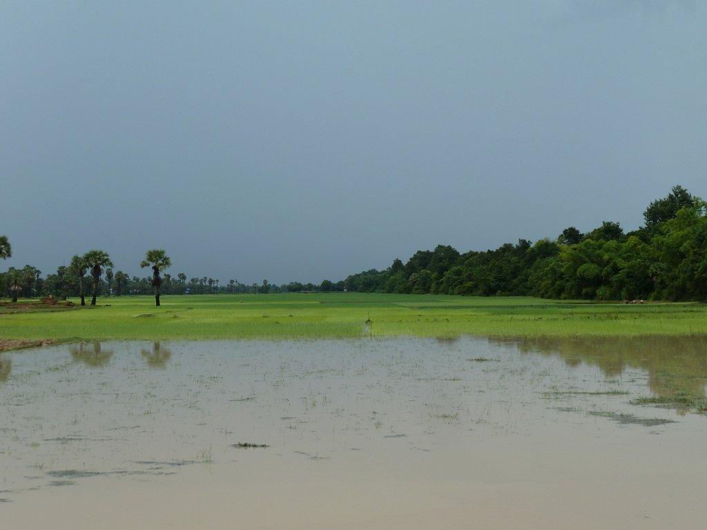 Landscape near East Baray