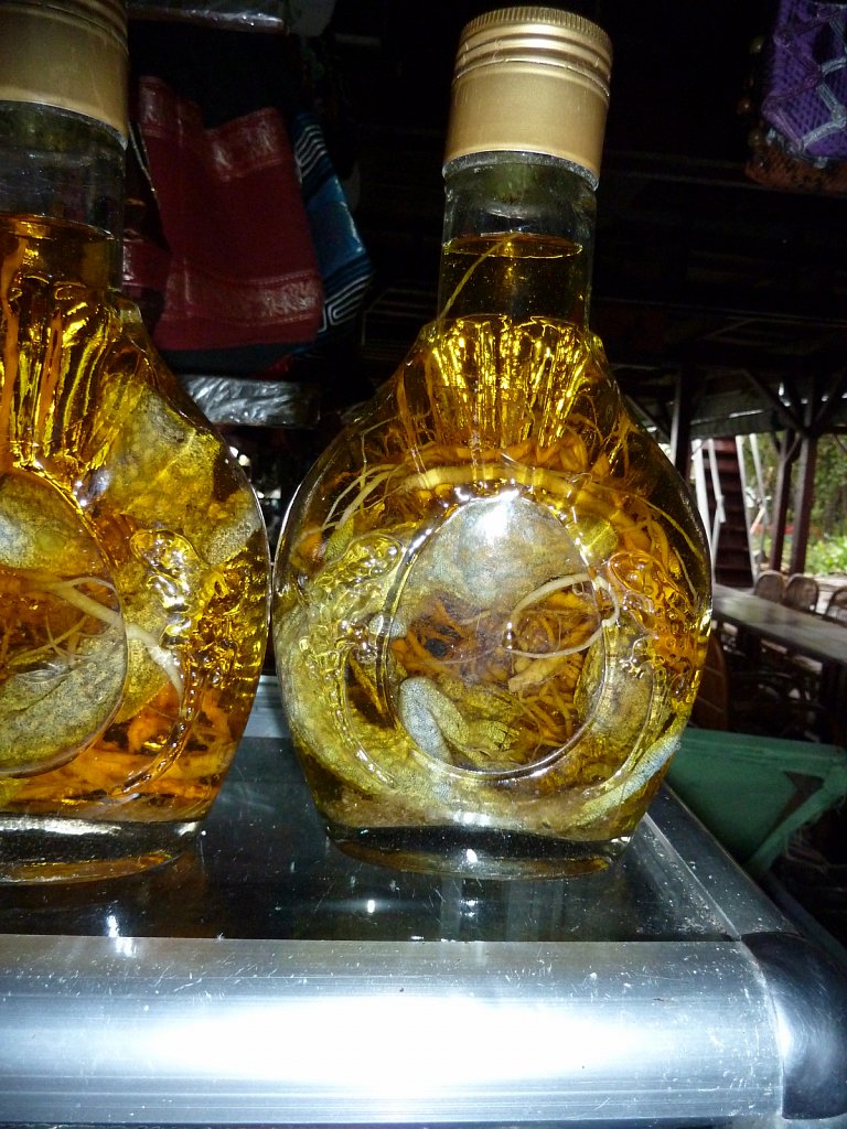 Lizard liquor