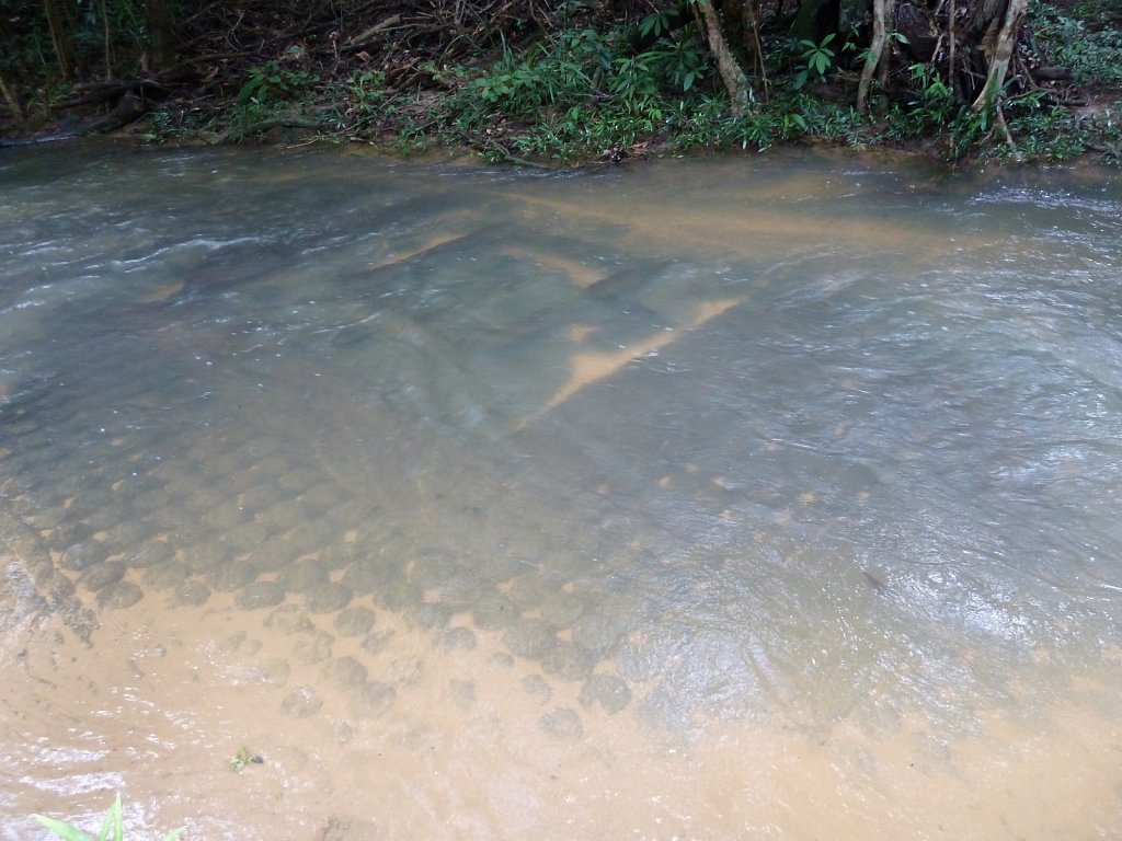 Carvings in Kbal Spean River