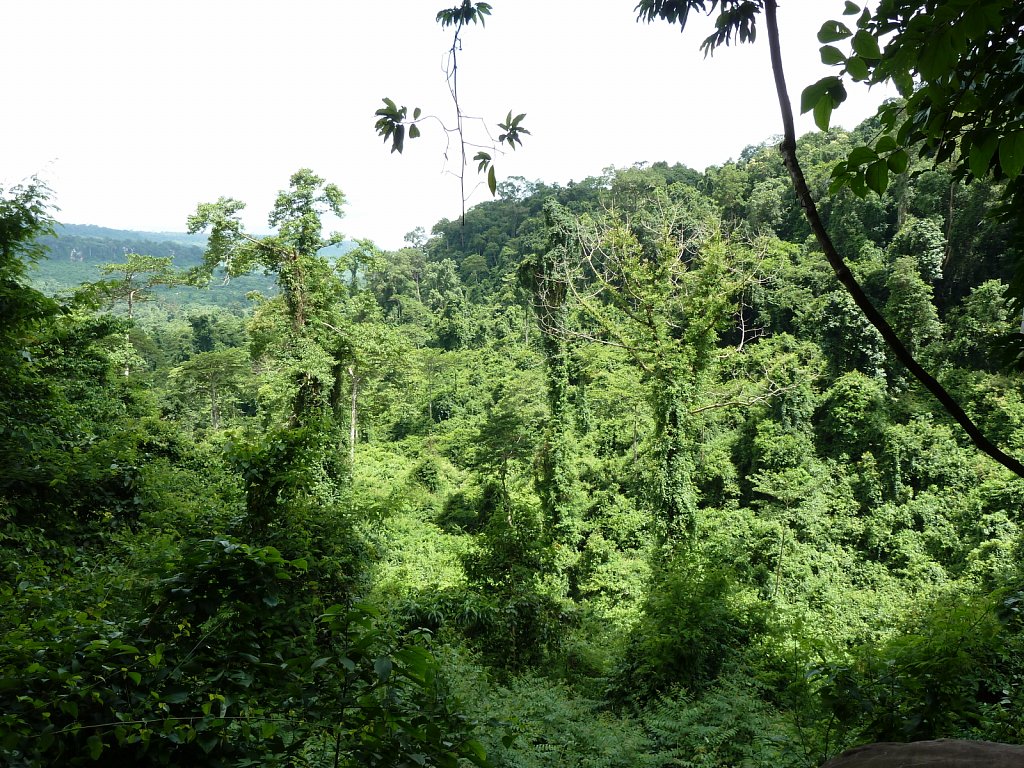 View near Kbal Spean waterfall