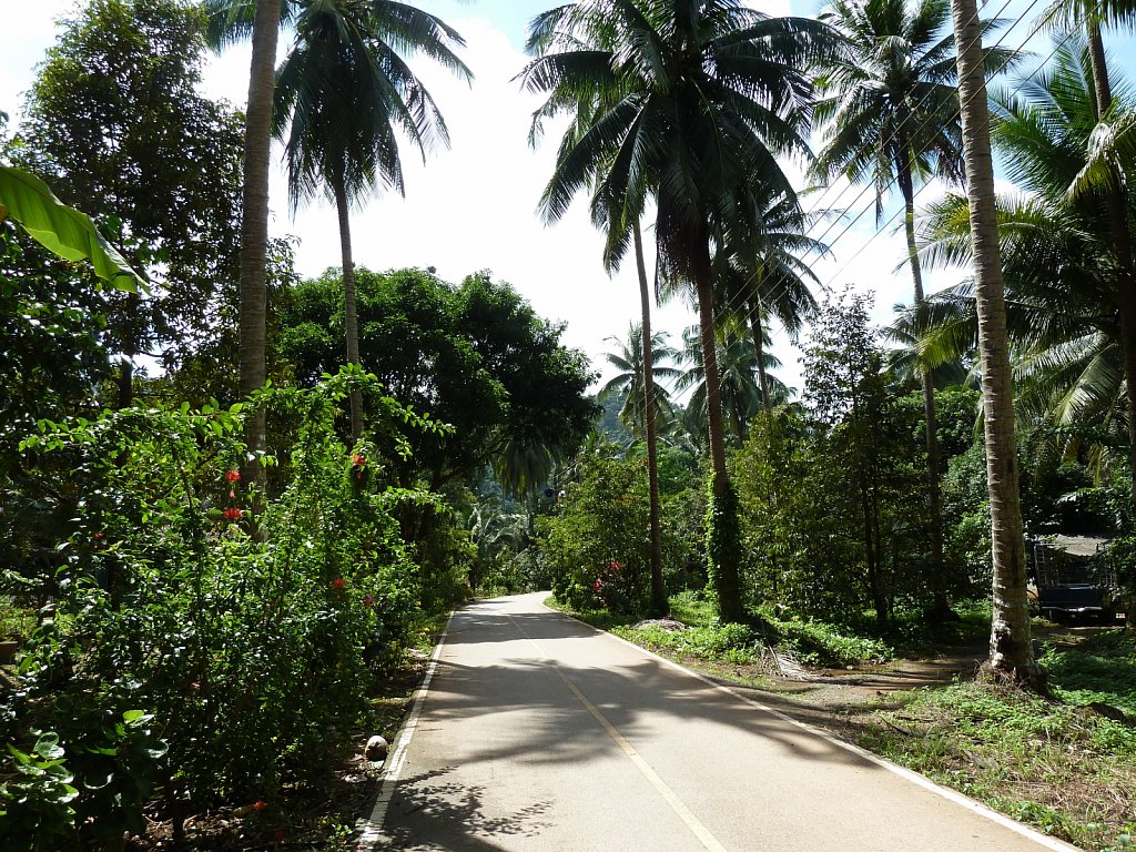 Lonesome street at the east coast of Ko Chang