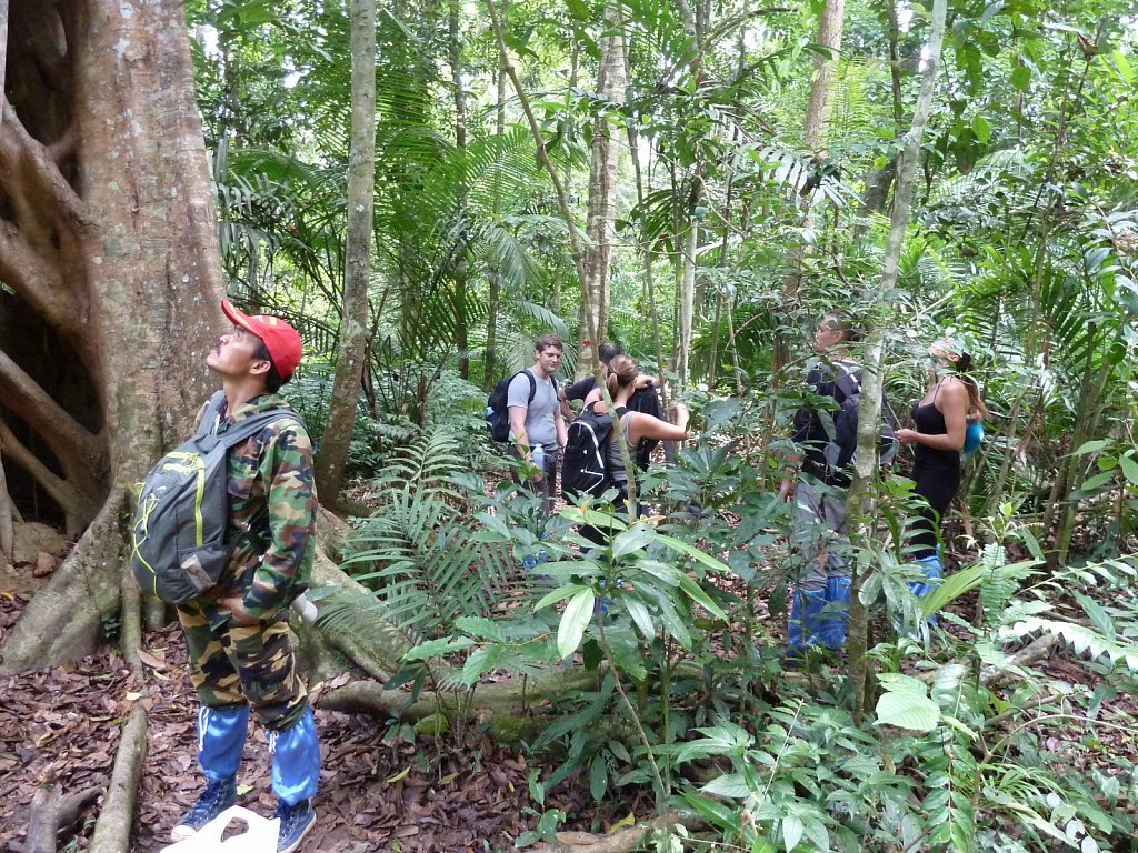 Hiking in Khao Yai National Park