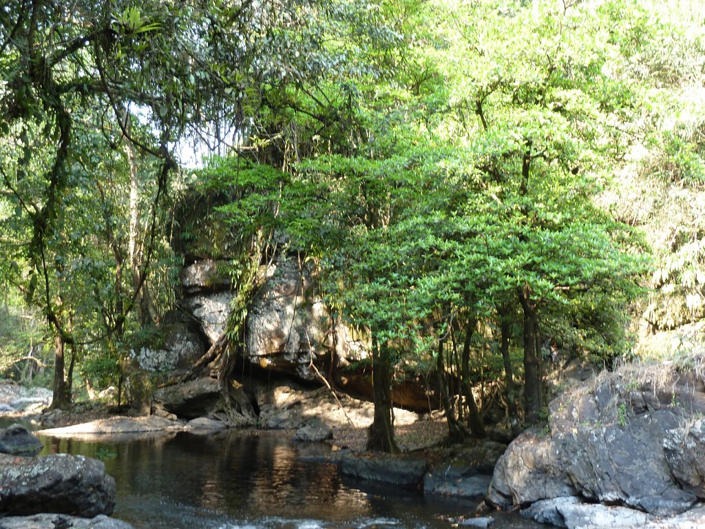 River in Khao Yai National Park
