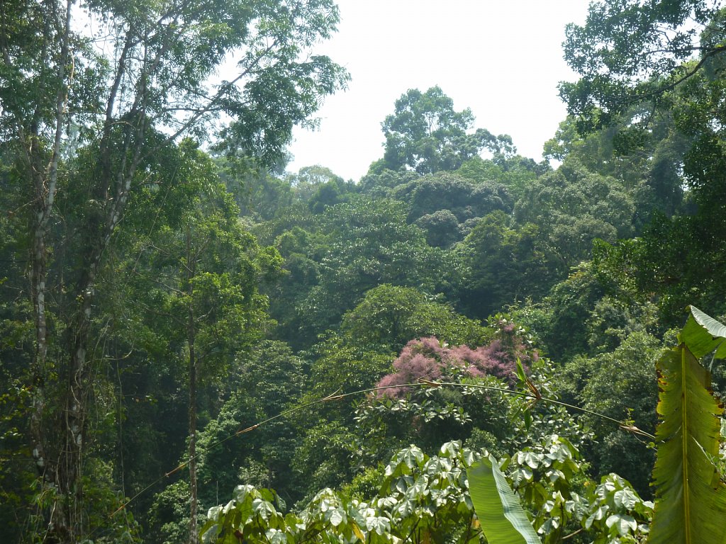On the way to Ton Chong Fah Waterfall