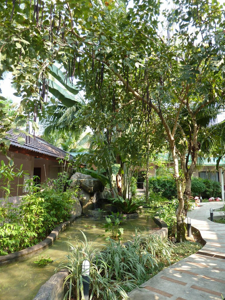 Fanari Khaolak Resort - Courtyard Zone 