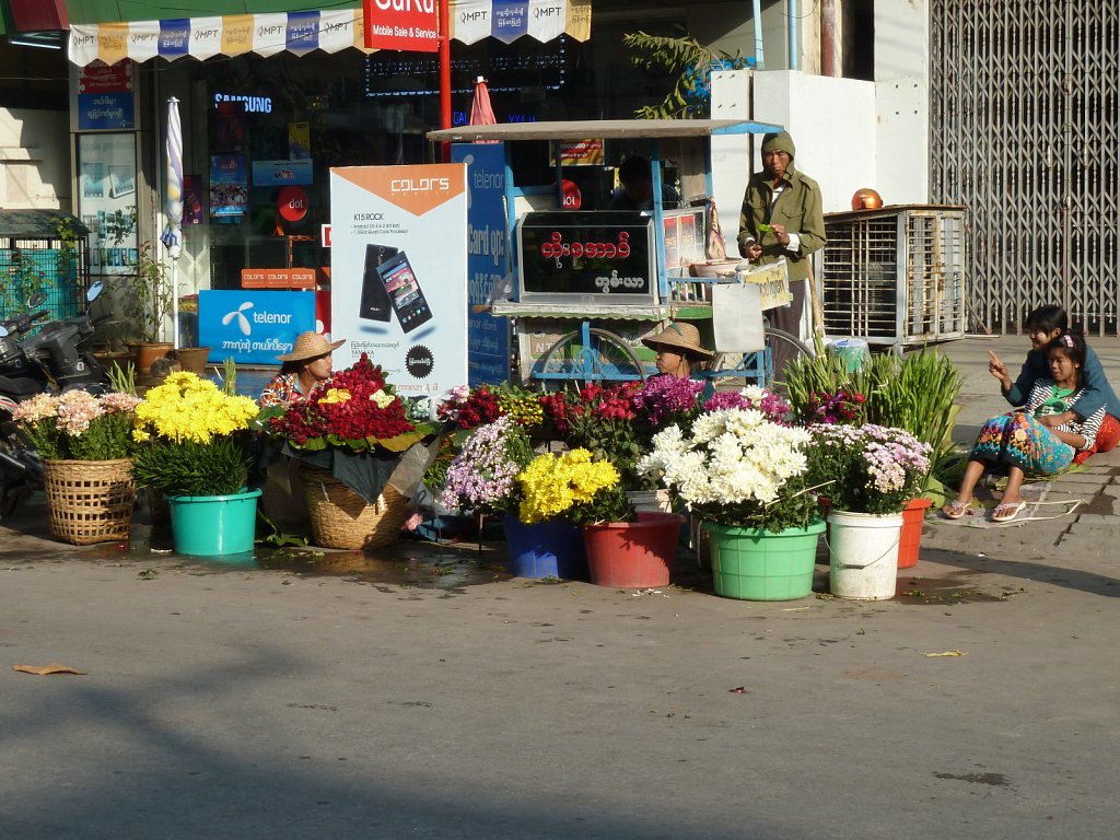 Saleswomen offering flowers on the street