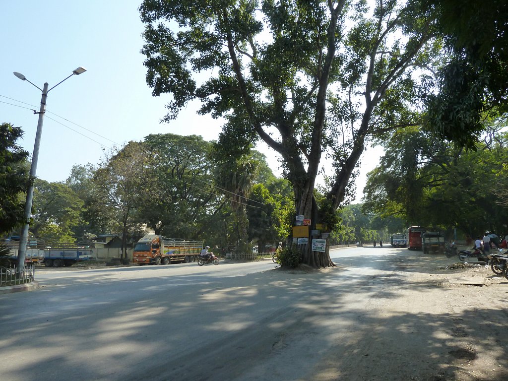 Tree in the middle of the road in Mandalay