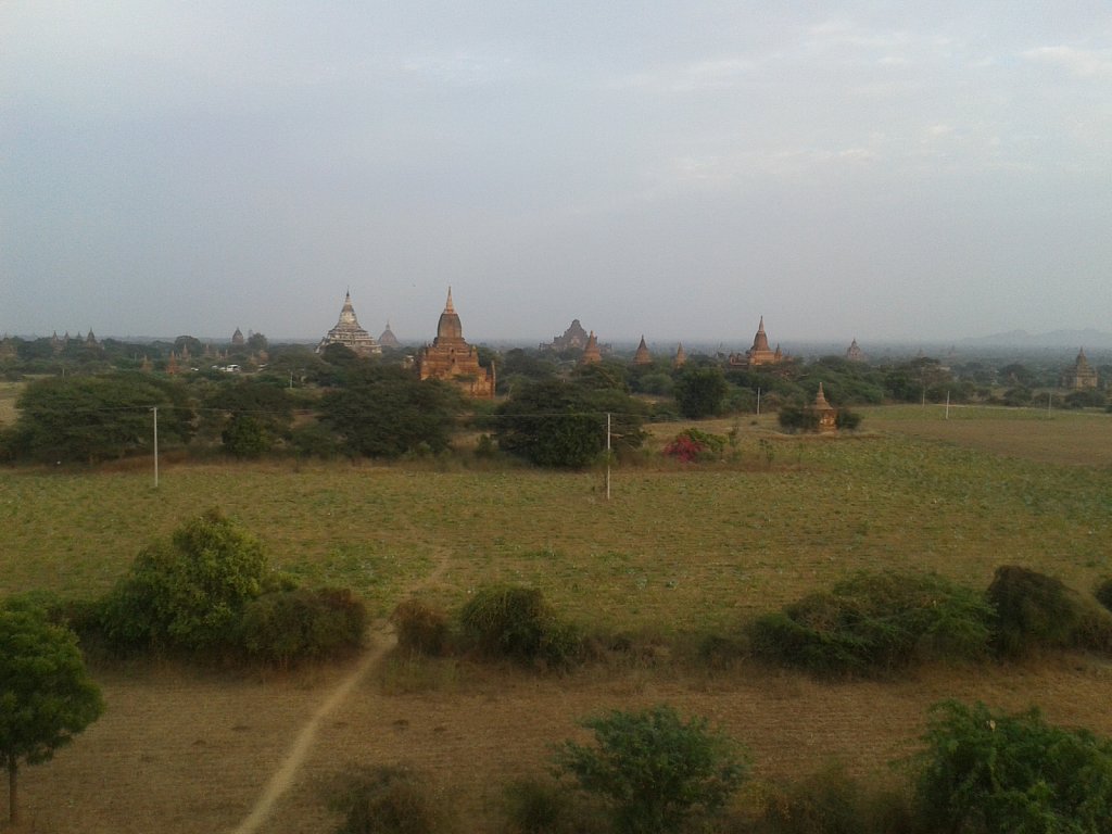 Temple shining at the sunset