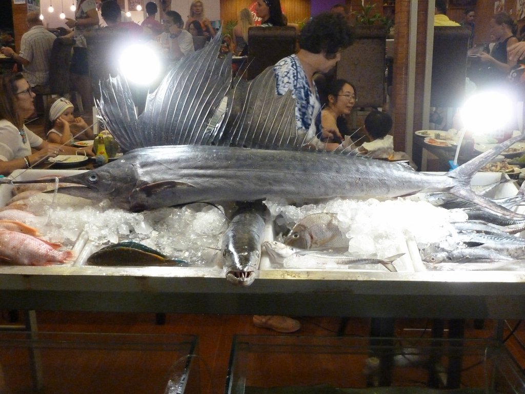 Fish on display in restaurant