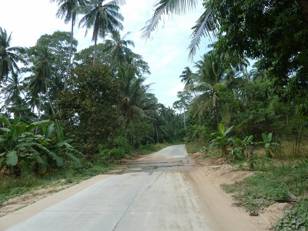 Street in the inland of Ko Samui